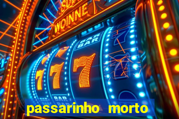 passarinho morto significado espiritual